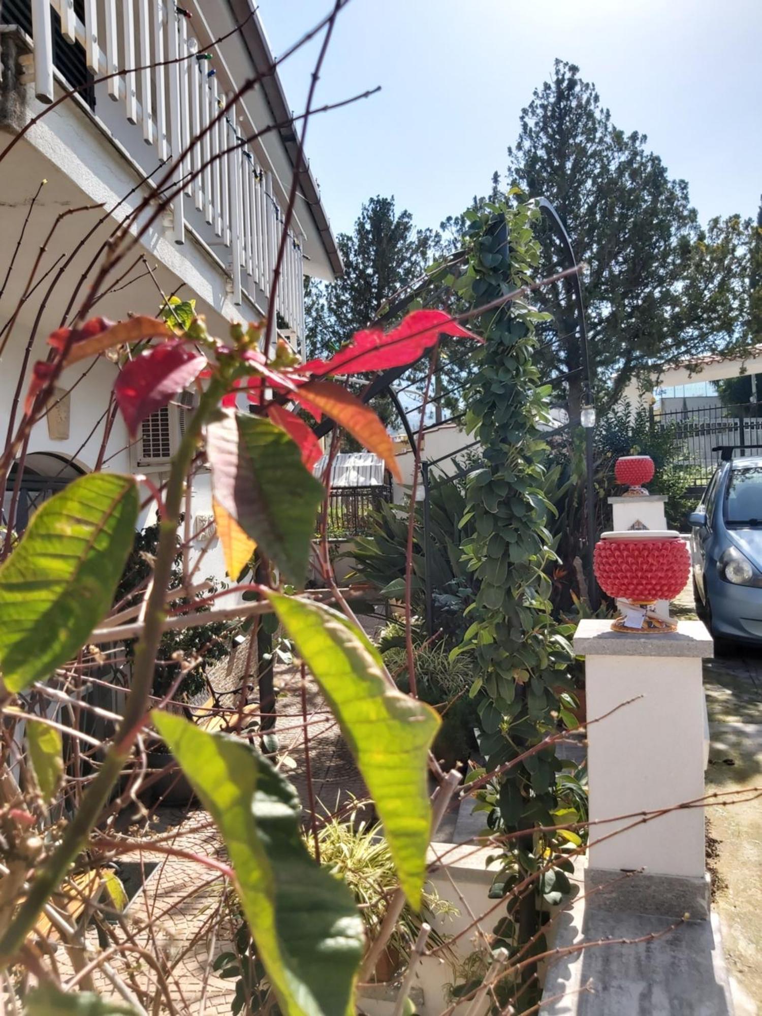La Perla Della Conca D'Oro Villa Palermo Ngoại thất bức ảnh